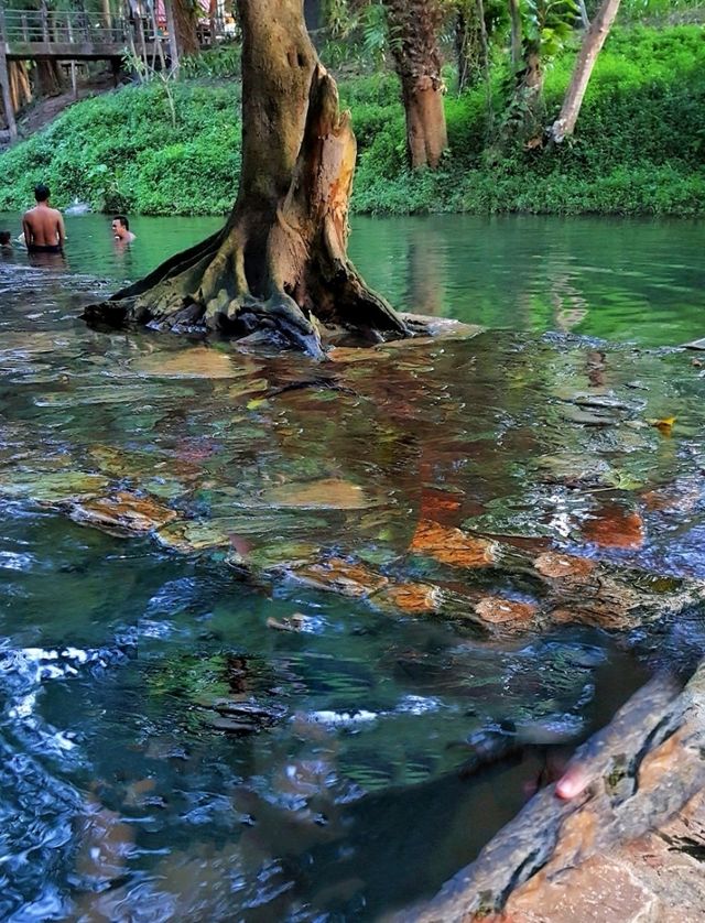 Exploring the hidden gem of Kanchanaburi, the Hindad Hot Spring!