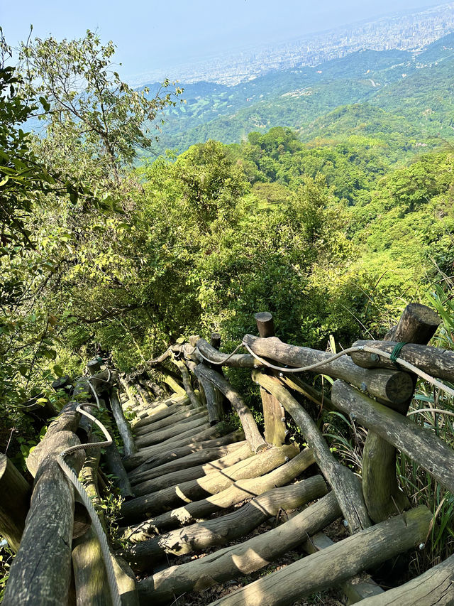 台中大坑2號步道-路線木頭製造的小型萬里長城山