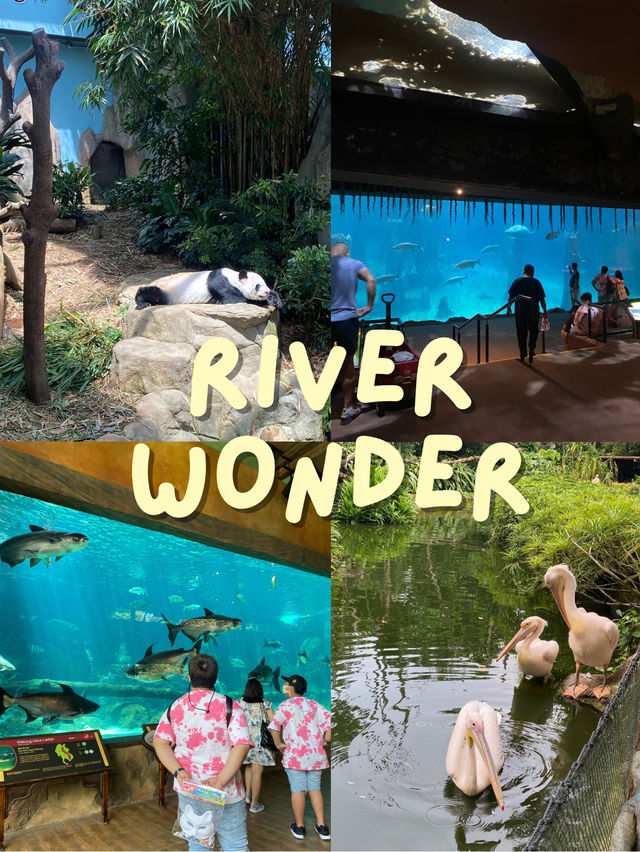 🐻River Wonder ✨