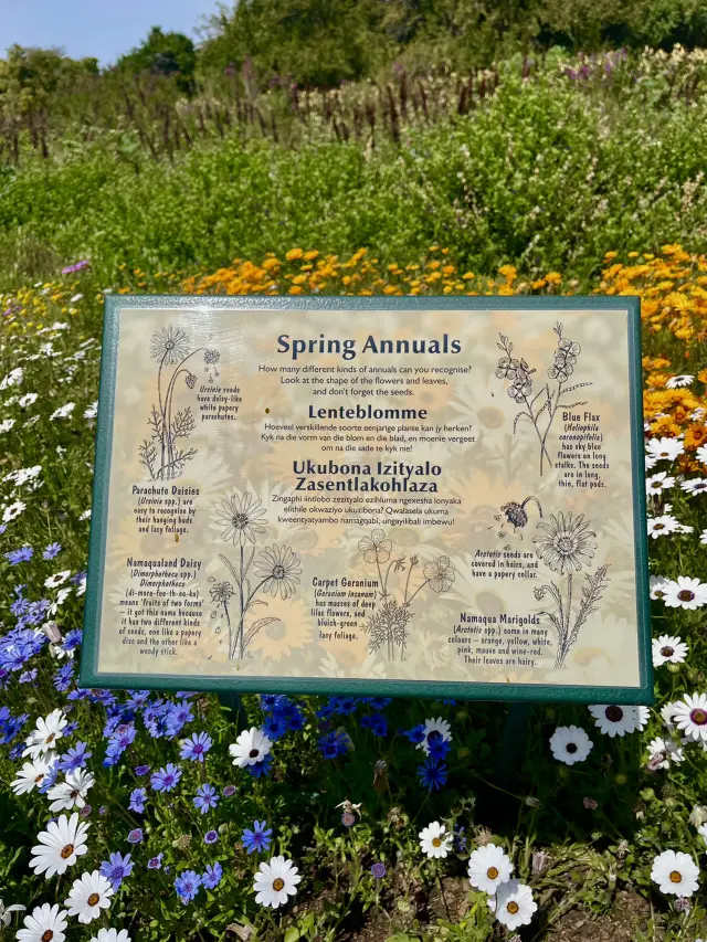 One of the world's most famous botanical gardens 🌸