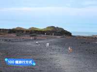 澎湖奎壁山摩西分海🌊近距離觀察潮間帶生物