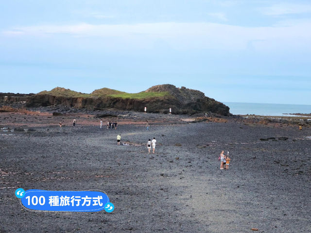 澎湖奎壁山摩西分海🌊近距離觀察潮間帶生物