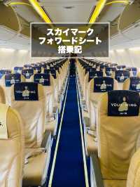 【神戸】SKYフォワードシート1000円で変更してみた
