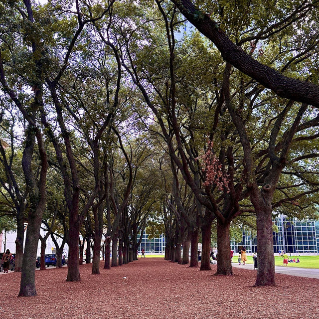 Gerald D. Hines Waterwall Park: A Serene City Escape
