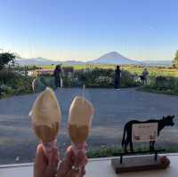 北海道｜Lake hill farm：洞爺湖畔花園牧場冰淇淋，悠閒親子美食景點