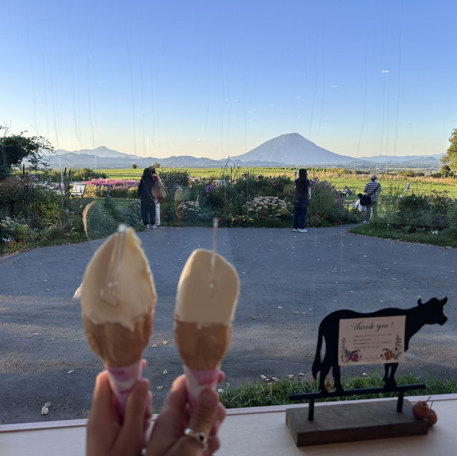 北海道｜Lake hill farm：洞爺湖畔花園牧場冰淇淋，悠閒親子美食景點