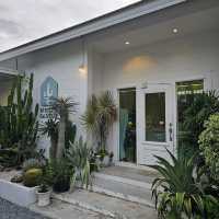 ร้าน WHITE CACTUS คาเฟ่บรรยากาศดี