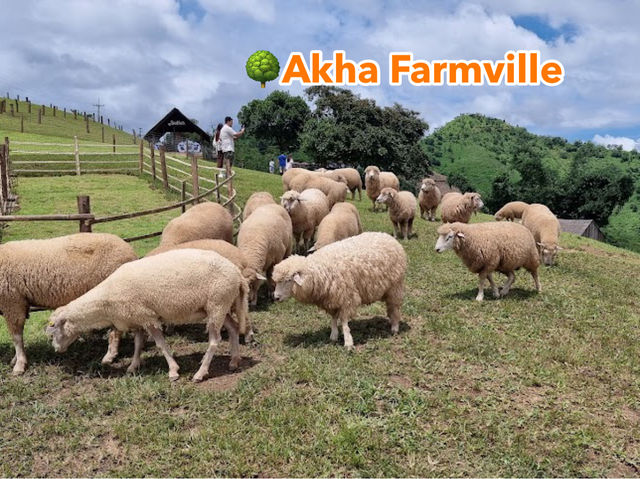🌳Akha Farmville 