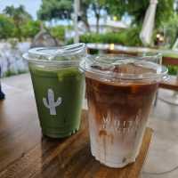 ร้าน WHITE CACTUS คาเฟ่บรรยากาศดี