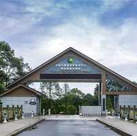 Bifengxia Panda Base, Ya’an