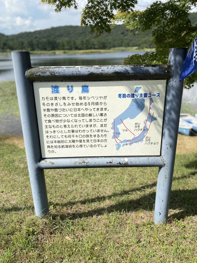 【小野市】アウトドアにおすすめ鴨池