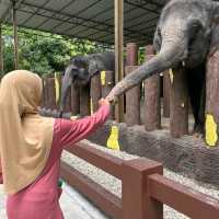 National Elephant Conservation Centre