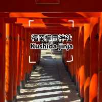 🌸⛩️✨ Explore the Sacred Beauty of Kushida-jinja Shrine in Fukuoka! 🏮🌺🔮