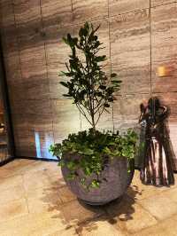 Elegant 5 stars hotel in the city centre 🌁🌆