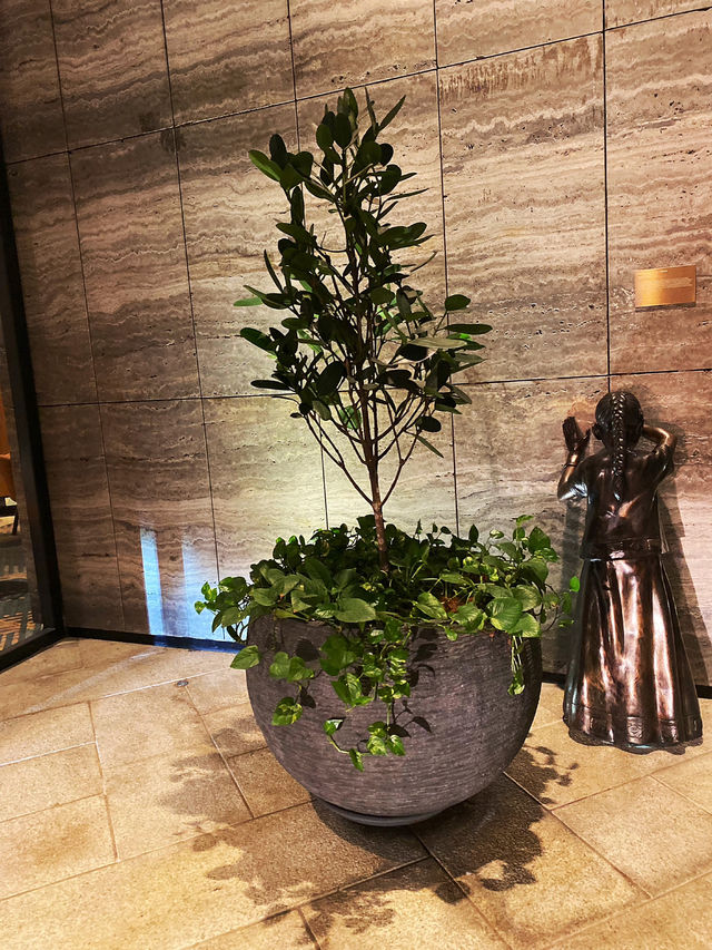 Elegant 5 stars hotel in the city centre 🌁🌆