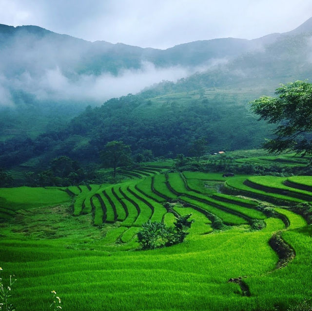 The King of Vietnam’s Mountain Roads