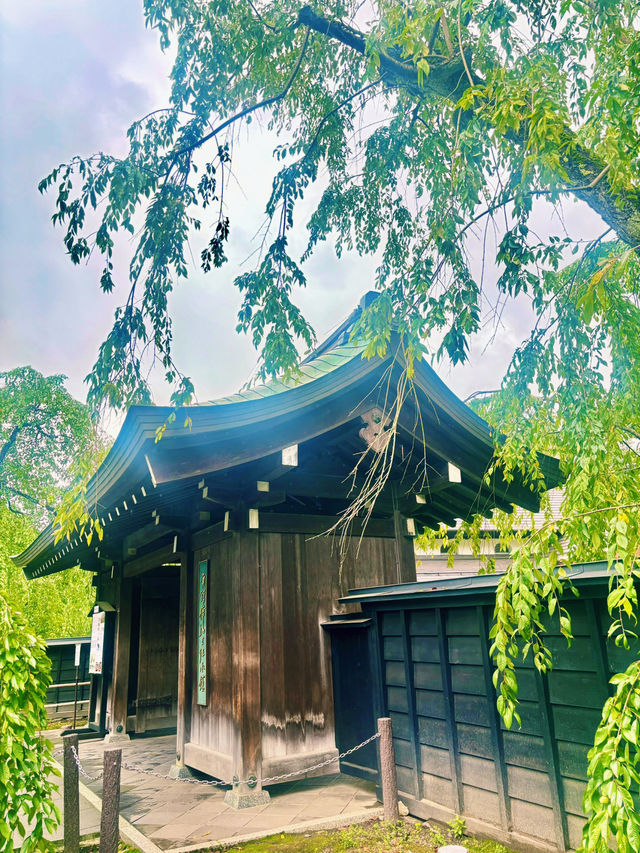【日本東北】角館武家屋敷：陸奧小京都，江戸時代的風情縮影
