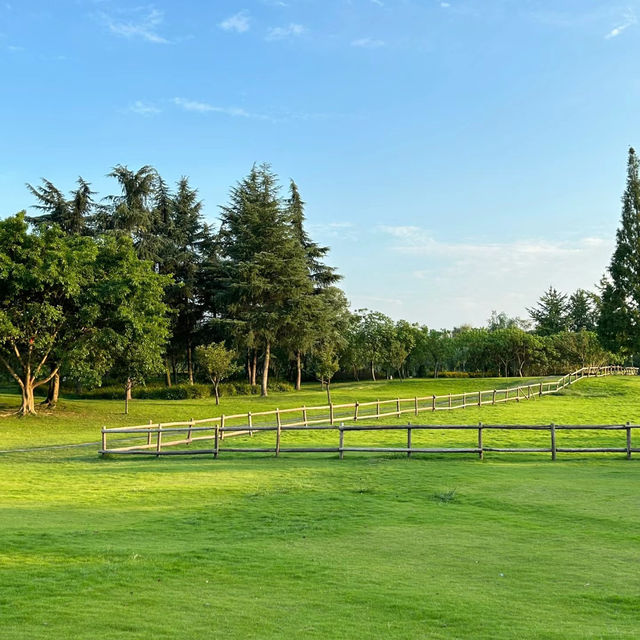 Garth Park：綠油油的自然天堂與迷人夕陽🌳🌅✨