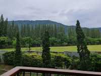 🌳dusitD2 Khao Yai