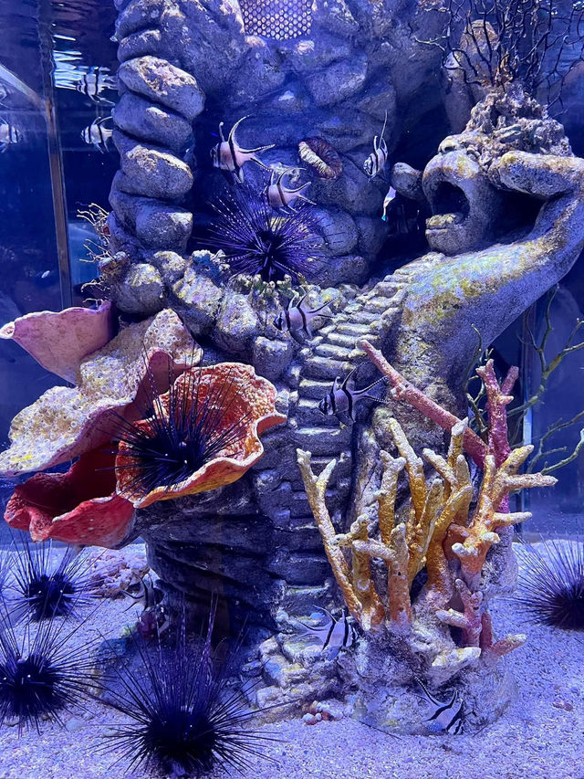ชวนเที่ยว Sea Life Bangkok