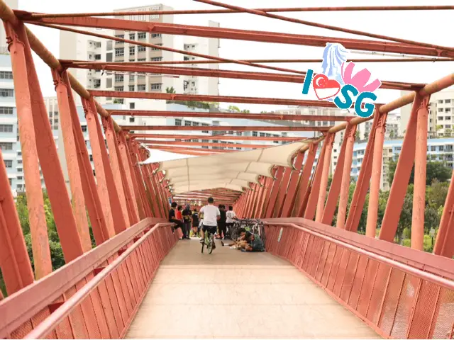 在新加坡的摩登新市鎮踩單車