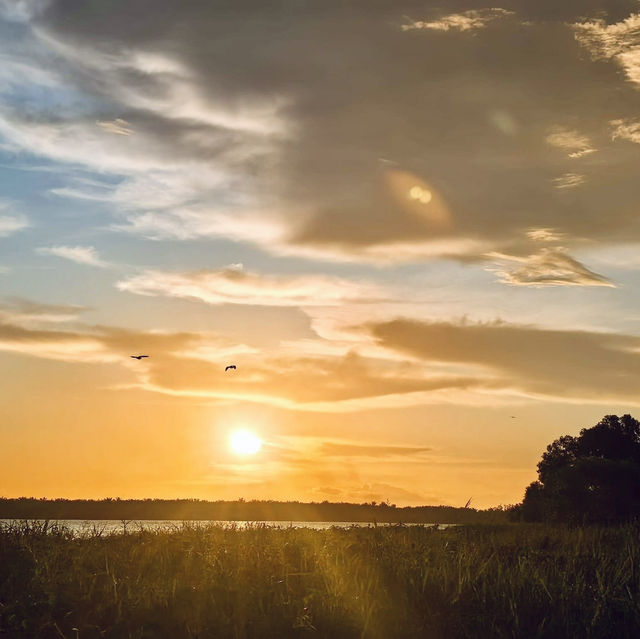 "Sunset Serenity: A Memorable Evening at Pulau Bangau"