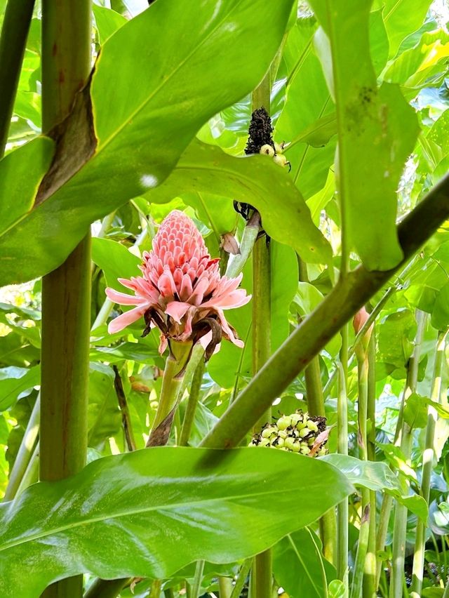 Kechara Forest Retreat in Bentong