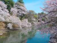 【高岡城下町（①加賀藩・富山県の副都）】（富山県高岡市　旧国名：越中）
