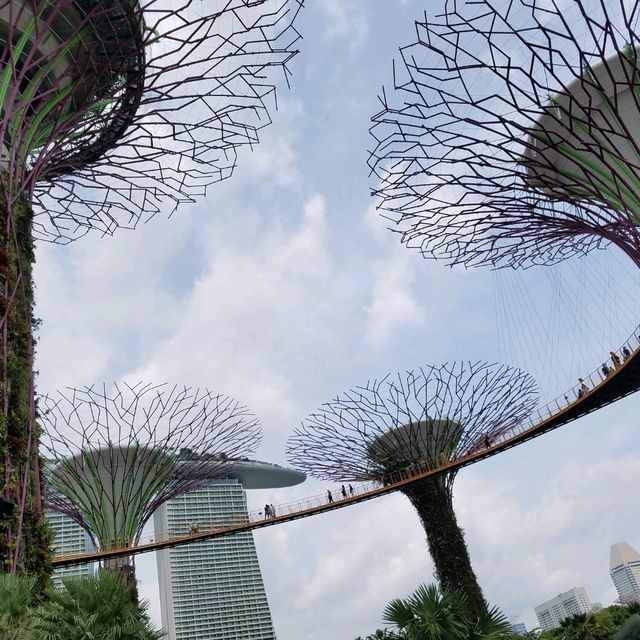 OCBC SKY WAY♪♪