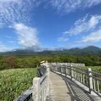 【北海道】熊にも会えるかも？知床の大自然を満喫できる公園とは