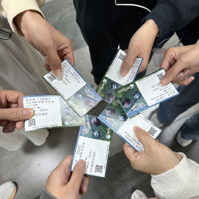 제천 가볼만한곳 청풍호반케이블카 