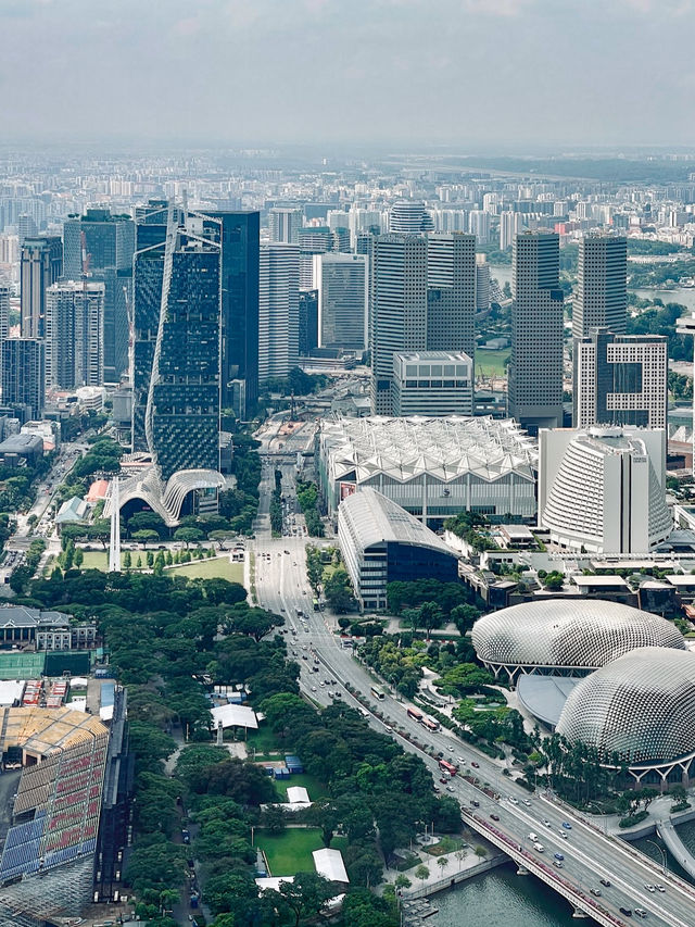 City view : Sky Garden at CapitaSpring 
