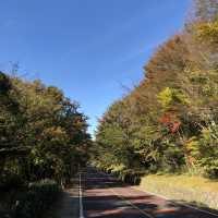 Autumn Awaits: Discover Eorimok Valley in Full Color 🍁🇰🇷