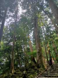 【那智の滝:和歌山県那智勝浦町】圧巻!!高さ133mの日本で最も高い滝!!
