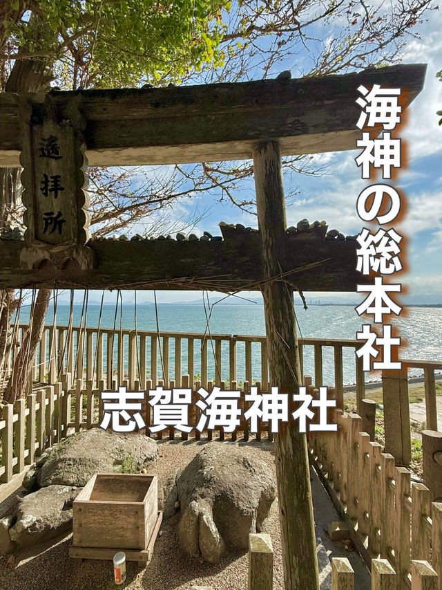 【福岡県】海神の総本社と龍の都