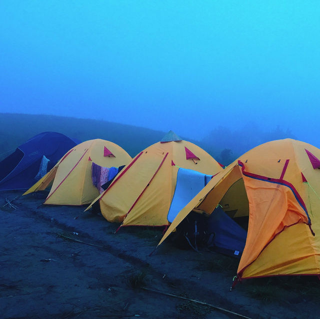 Ta Nang - Phan Dung hiking trail is very beautiful