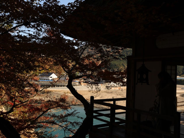 [四國] 被紅葉和銀杏包圍的臥龍山莊