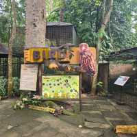 Zoobic Safari - The Jungle Outta City.