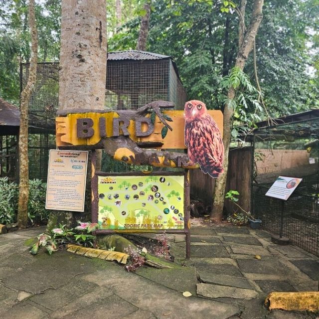 Zoobic Safari - The Jungle Outta City.