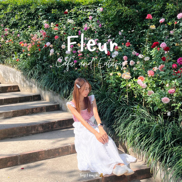 คาเฟ่ที่มีดอกกุหลาบสวยที่สุดในเชียงใหม่ 🪟🌹