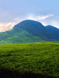 Take A Look At Mt. Patuha ⛰️✨
