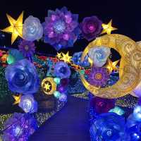 【静岡】伊豆最大級のイルミネーション🌙