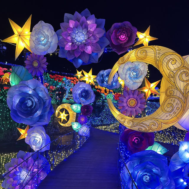 【静岡】伊豆最大級のイルミネーション🌙