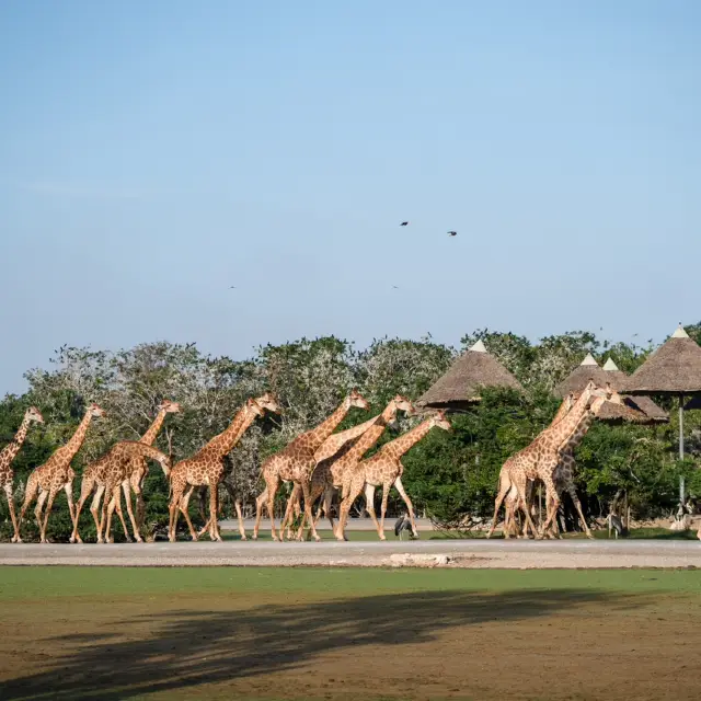 🎊วันหยุดนี้มีที่ไปกันหรือยัง?!??