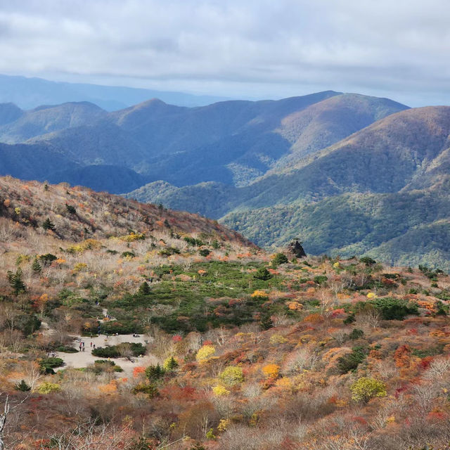 🦜華蓋山🍄‍🟫秋色自然的魔力！🍂⛰️