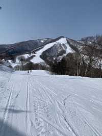 【斑尾高原】長野県と新潟県の県境にあるスキー場⛷