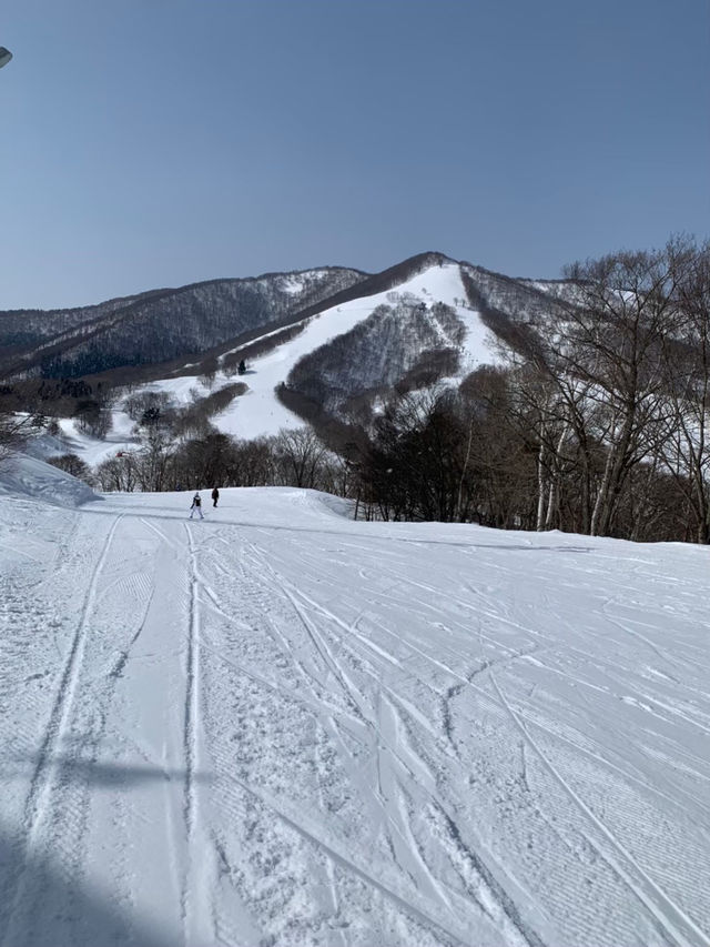 【斑尾高原】長野県と新潟県の県境にあるスキー場⛷