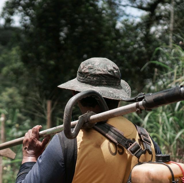 living the slow life with plantation and farms in Janda Baik