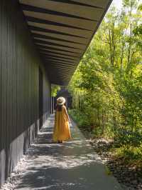 【大分】アート好きじゃなくても楽しめる🎨隈研吾氏建設のアートミュージアム🏛️ 