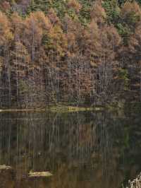 【長野】水面に映り込む超神秘的や紅葉絶景✨✨